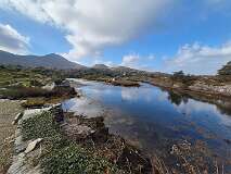 24: 2025_10_13_11_53 Roland