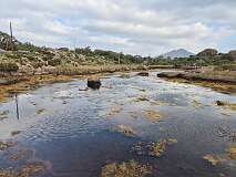 27: 2025_10_13_11_55 Roland