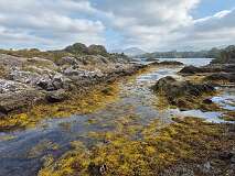 28: 2025_10_13_11_57 Roland-001