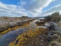 29: 2025_10_13_11_57 Roland