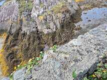 43: 2025_10_13_12_05 Roland