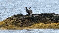 37: 2025_10_13_12_10_Maik-002