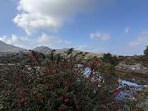 38: 2025_10_13_12_12_Maik