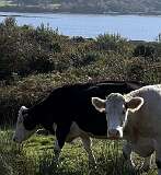 50: 2025_10_13_12_44_Maik-004