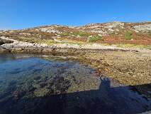 52: 2025_10_13_13_11 Roland