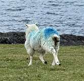 121: 2025_10_13_16_55_Maik