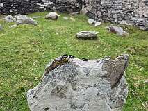 82: 2025_10_13_17_00 Roland