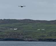 132: 2025_10_13_17_10_Maik-001