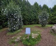 156: 2025_10_14_11_28_Annette