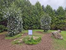 91: 2025_10_14_11_29 Roland-001