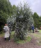 158: 2025_10_14_11_29_Maik-001