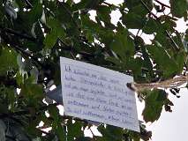 161: 2025_10_14_11_40_Annette