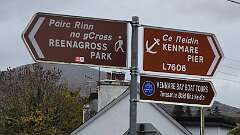 174: 2025_10_14_12_13_Annette-001