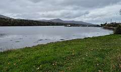 175: 2025_10_14_12_16_Annette