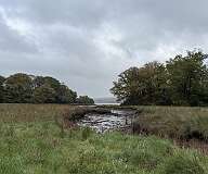 198: 2025_10_14_14_31_Maik