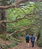 208: 2025_10_14_14_44_Annette