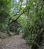 209: 2025_10_14_14_45_Maik