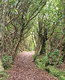 213: 2025_10_14_14_49_Annettea