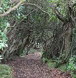 216: 2025_10_14_14_50_Maik