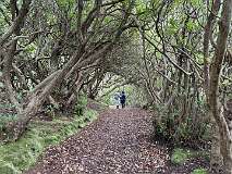 220: 2025_10_14_14_52_Maik