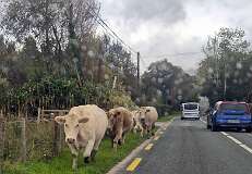 232: 2025_10_14_15_42_Annette-001