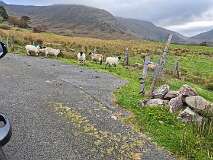 108: 2025_10_15_10_57 Roland-001