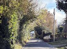 287: 2025_10_15_11_36_Maik