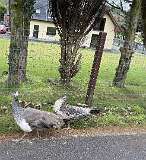 290: 2025_10_15_11_44_Maik