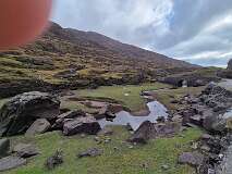 198: 2025_10_15_14_55 Roland