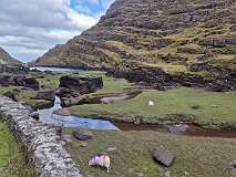 201: 2025_10_15_14_56 Roland-003