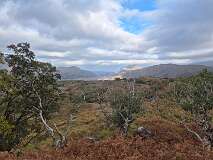 229: 2025_10_15_16_00 Roland-004