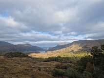 244: 2025_10_15_16_08 Roland-001