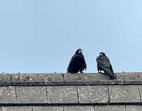 385: 2025_10_15_17_32_Maik