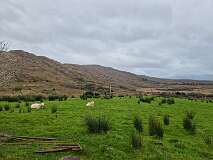 270: 2025_10_16_10_56_Roland