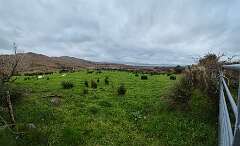 271: 2025_10_16_10_57_Roland