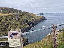 300: 2025_10_16_13_48_Roland