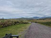 305: 2025_10_16_14_05_Roland