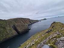 309: 2025_10_16_14_14_Roland