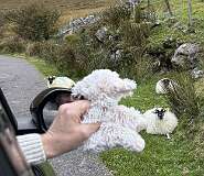 487: 2025_10_16_18_22_Maik-001