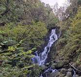 345: 2025_10_16_23_07_Annette