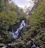 349: 2025_10_16_23_08_Annette