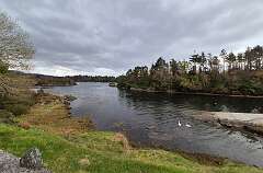 517: 2025_10_17_14_23_Annette