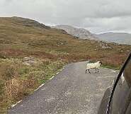 541: 2025_10_17_17_22_Maik