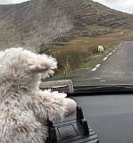 542: 2025_10_17_17_23_Maik