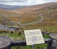 545: 2025_10_17_17_30_Rolanda