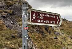 547: 2025_10_17_17_33_Maik