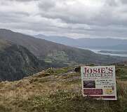 560: 2025_10_17_17_45_Annette