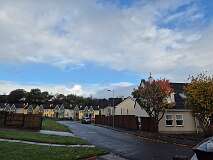 384: 2025_10_19_10_51_Roland