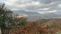 693: 2025_12_24_17_18_Annette-003