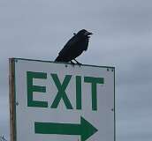 695: zzz2025_10_16_13_29_Annette